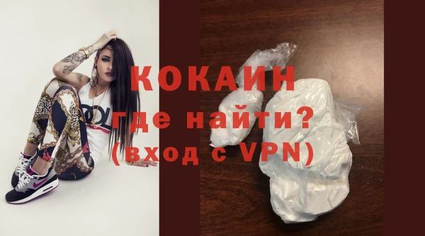 сатива Гусь-Хрустальный