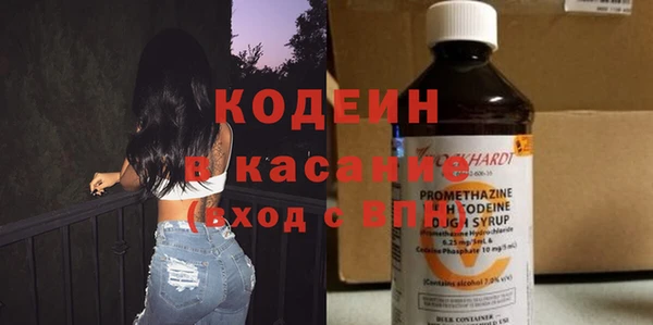 сатива Гусь-Хрустальный