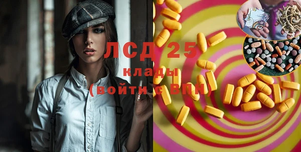 сатива Гусь-Хрустальный