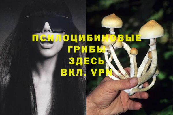 спиды Гусиноозёрск