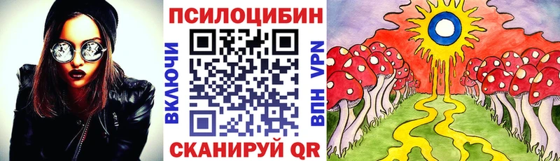 Галлюциногенные грибы мицелий  Купить где  Бор 